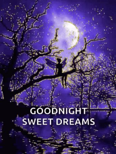 r&s goodnight result|Discover .